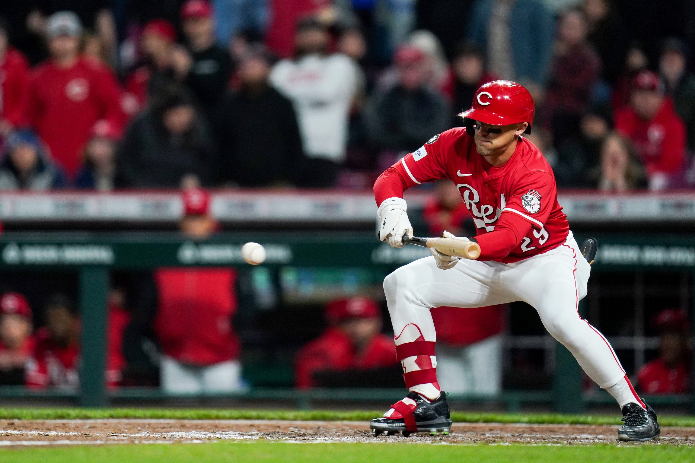 The Texas Rangers are set to conclude their three-game series against the Cincinnati Reds on April 2, 2025, at Great American Ball Park in Cincinnati, Ohio. Both teams aim to secure a series victory, with the Rangers looking to bolster their strong start to the season and the Reds seeking to capitalize on their home-field advantage. Texas vs Cincinnati AI Prediction: Free MLB Betting Insights for Apr 02. Credit USA TODAY/IMAGN