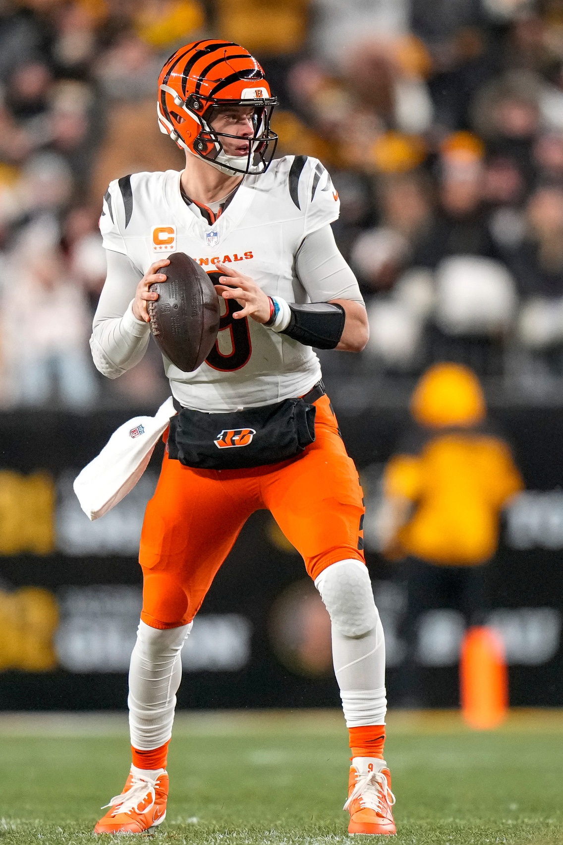  Cincinnati vs Pittsburgh AI Prediction: Free NFL Betting Insights for Nov 16. Credit USA TODAY/IMAGN