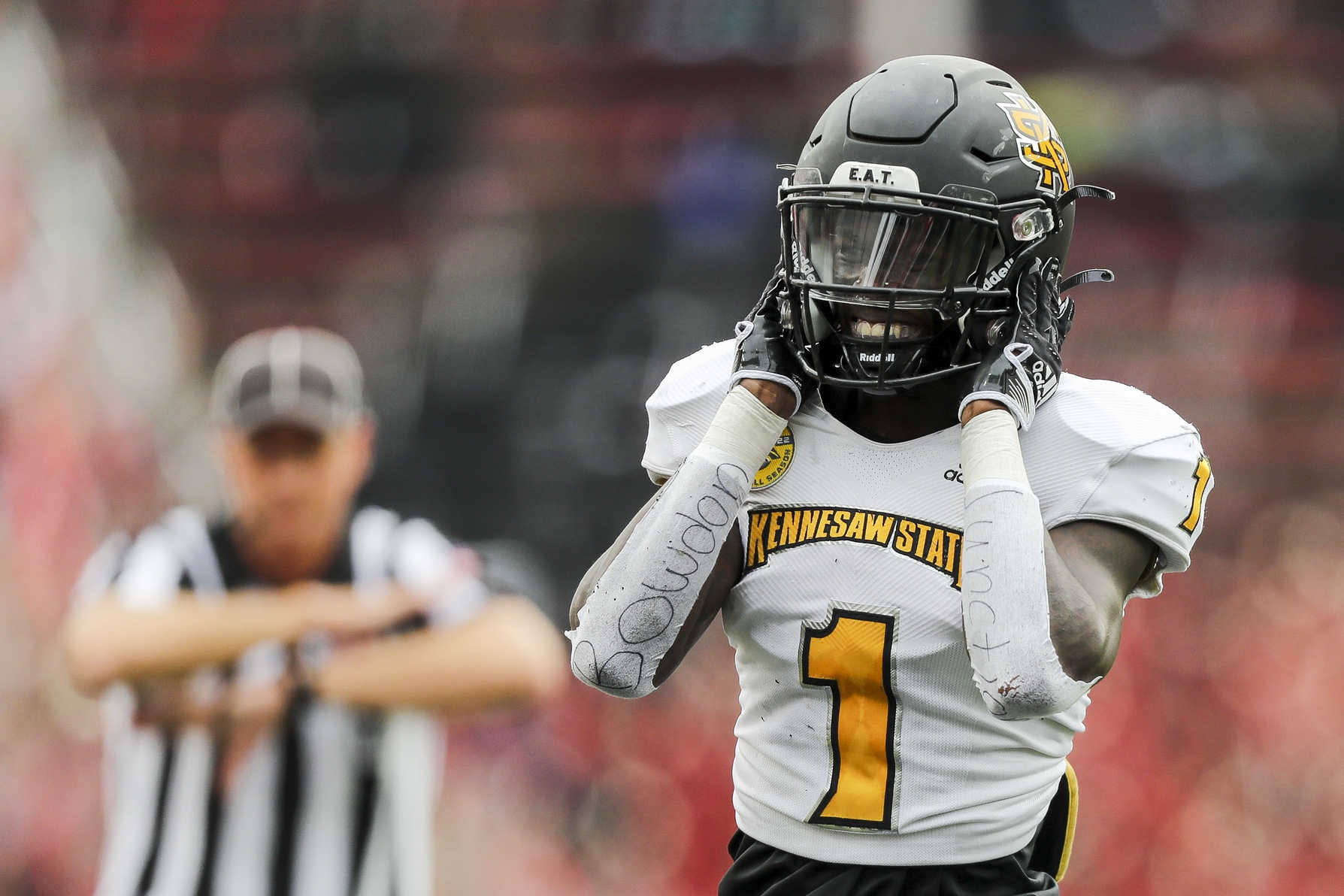  Kennesaw State vs Liberty AI Prediction: Free CFB Betting Insights for Nov 29. Credit USA TODAY/IMAGN
