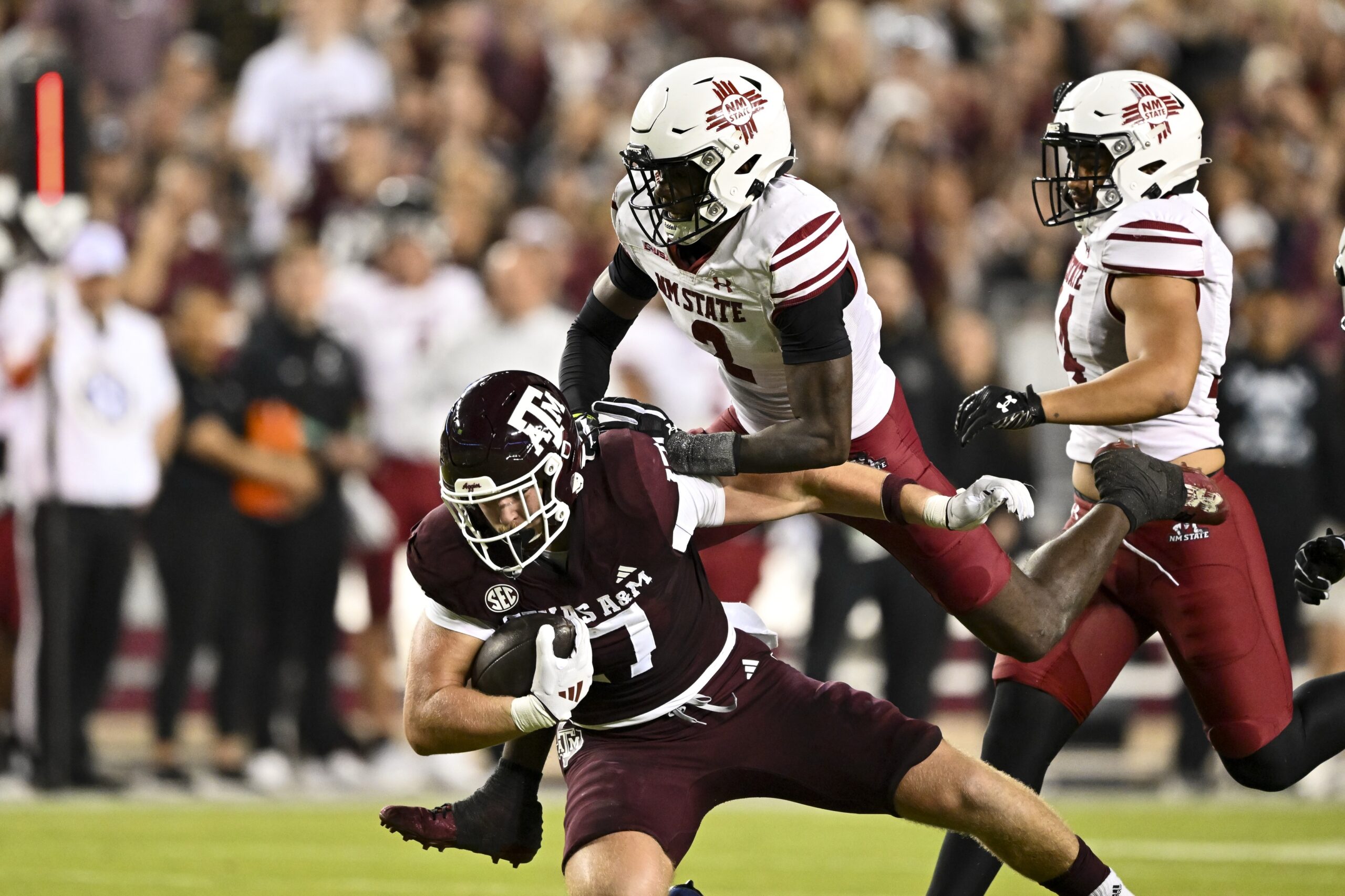  New Mexico State vs Liberty AI Prediction: Free CFB Betting Insights for Oct 14. Credit USA TODAY/IMAGN