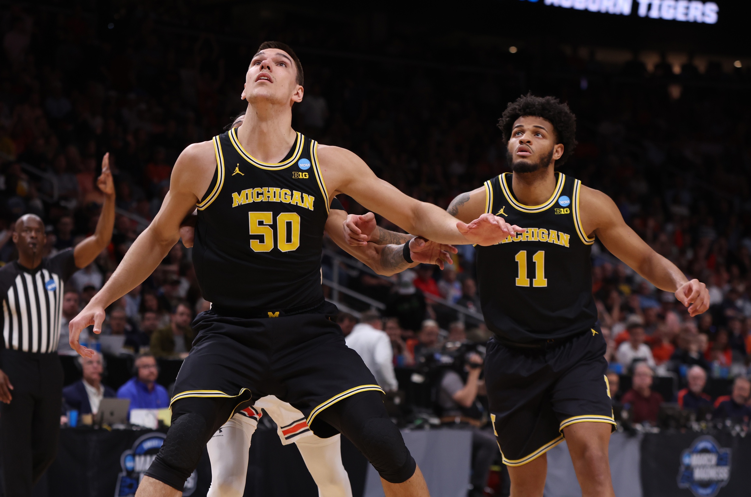  Minnesota vs Michigan AI Prediction: Free CBB Betting Insights for Jan 01. Credit USA TODAY/IMAGN