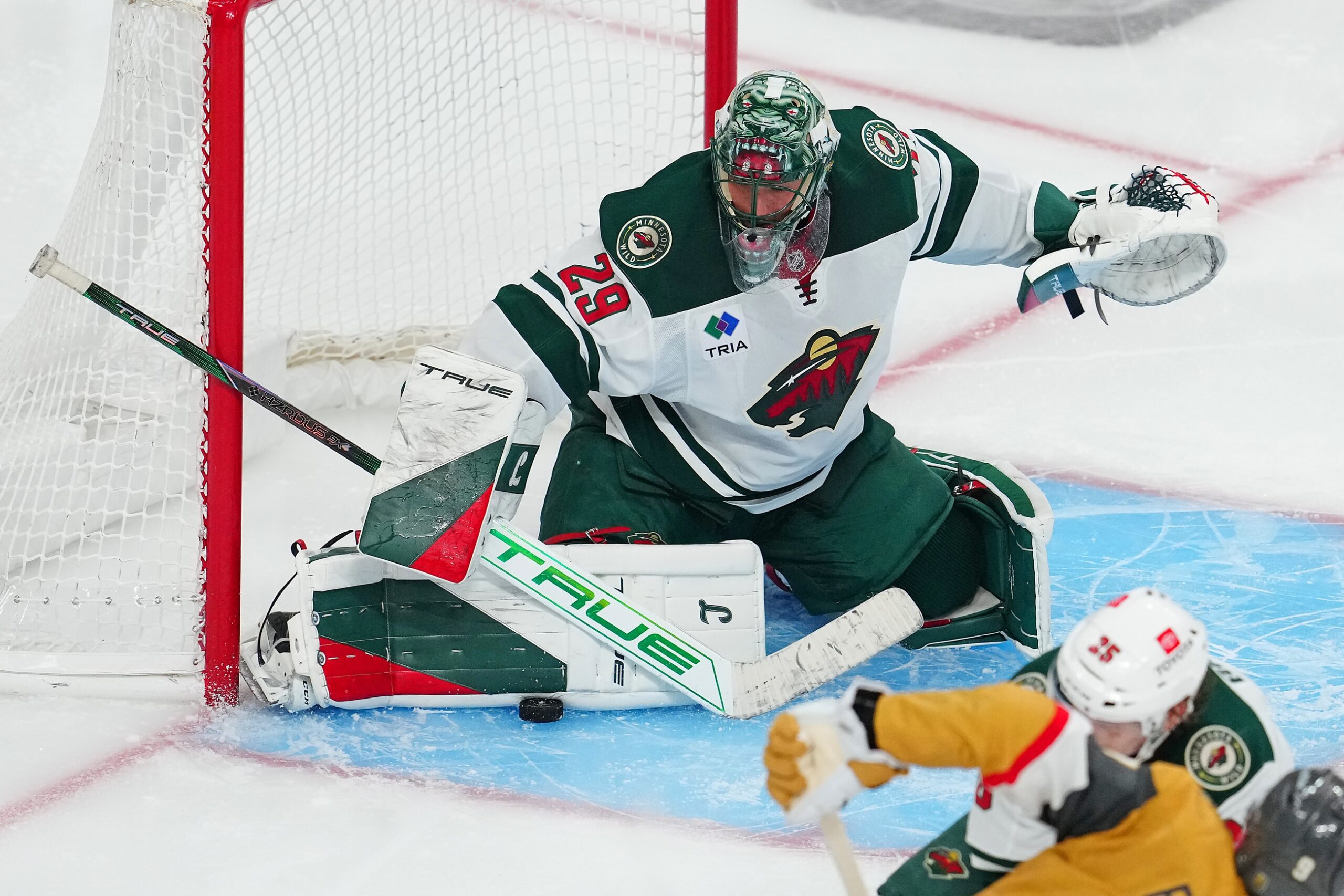 Anaheim vs Minnesota AI Prediction: Free NHL Betting Insights for Nov 15. Credit USA TODAY/IMAGN